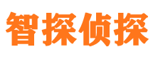 钢城外遇调查取证